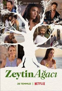 Zeytin Ağacı izle